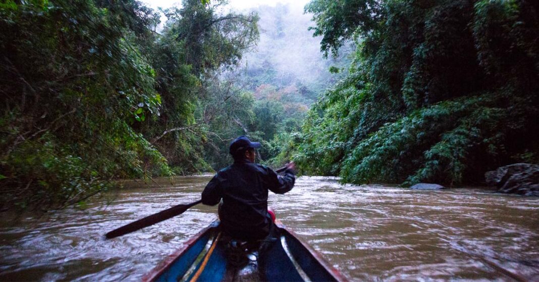 Nam Et-Phou Louey National Park Wildlife Tours