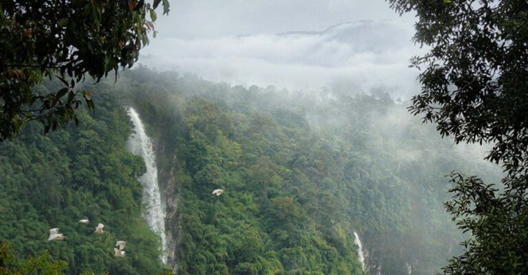 Sustainable Tourism Dong Hua Sao Champasack