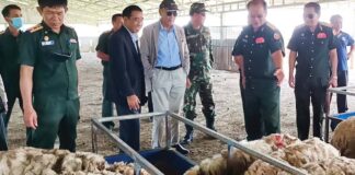 Army Sheep Farming Program in Xieng Khouang