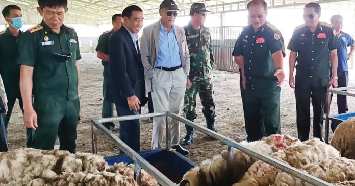 Army Sheep Farming Program in Xieng Khouang Army Sheep Farming Program in Xieng Khouang