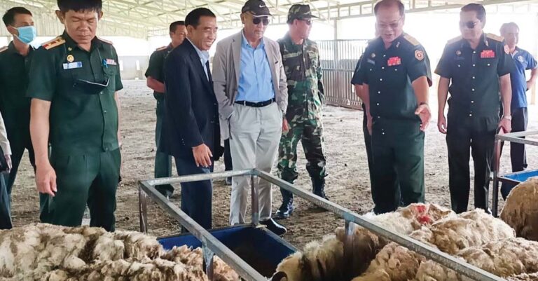 Army Sheep Farming Program in Xieng Khouang