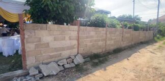 Neighbor walls off property