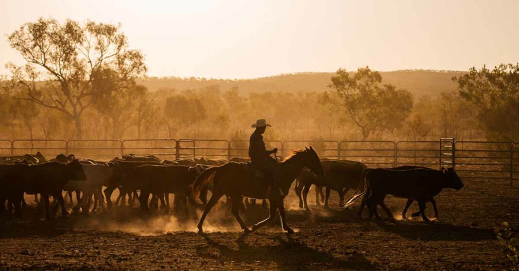 Australia farm visa offered to workers from Laos