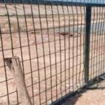 Fencing along the Laos-China Railway