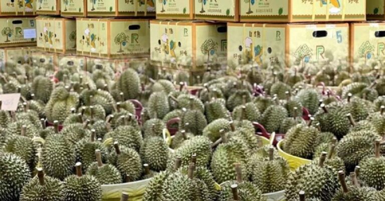 Thai durians arrive in China.