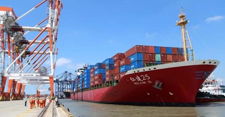 A container ship anchored at Tân Cảng Cái Mép - Thị Vải Terminal. T — VNA/VNS Photo Huỳnh Ngọc Sơn