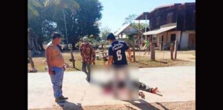 Savannakhet Police shoot and kill armed assailant.