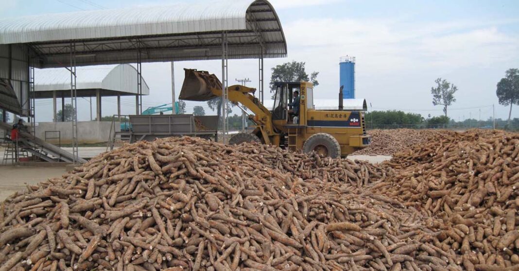 Tapioca starch is processed at a factory in Laos