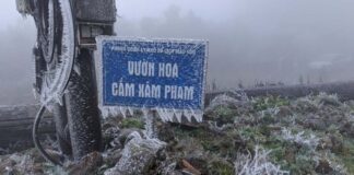 Vietnam faces extreme cold.