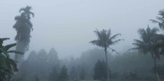 Wet weather expected in Laos