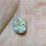 Ancient Denisovan tooth found in cave in Laos