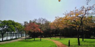 Yen So Public Park in Hanoi, Vietnam