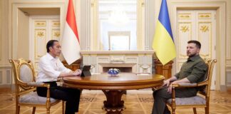 Indonesian President Joko Widodo and Ukraine's President Volodymyr Zelenskiy attend a meeting.