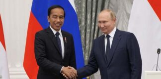 Indonesian President Joko Widodo meets with Russian President Putin