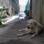 anthony-young-pCJCfl5HWdA-unsplash