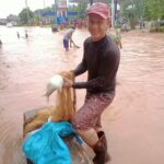 Catching fish in floodwaters in Vientiane
