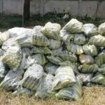 Bags of smuggled cucumbers and other vegetables confiscated by authorities.
