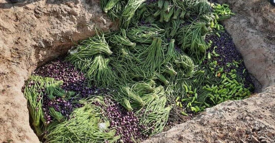 Smuggled vegetables buried by authorites in Vientiane Capital on 20 January, 2021