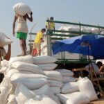 Myanmar farm workers load sacks of rice into a truck that will take these to the market (Nyain Thit Nyi / World Bank)