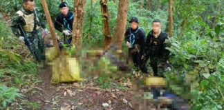 Military personnel found 15 dead bodies after the confrontation (Photo: Thai Post)
