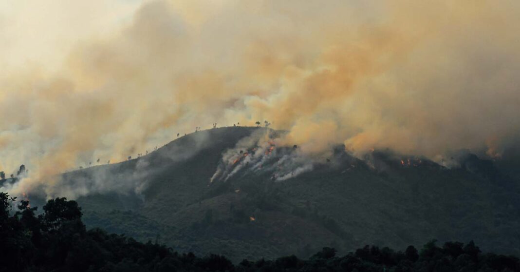 Forest fire in Phongsaly Province, Laos (Photo- Adam Cohn)