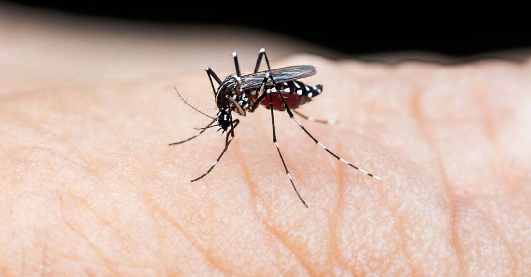 Laos Recorded Substantial Increase in Dengue Fever Cases in 2022