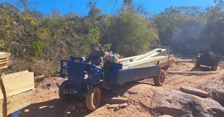 Loggers transport timber through Phou Khao Khouay National Park in photos snapped by tourists.