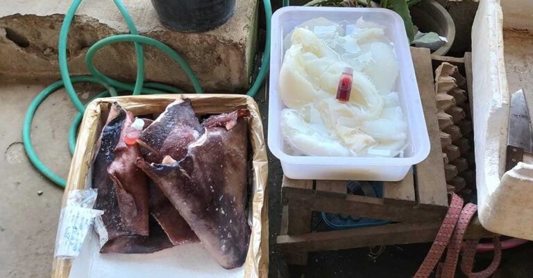 Health Officials Find Formaldehyde in Food Products at Luang Prabang Markets