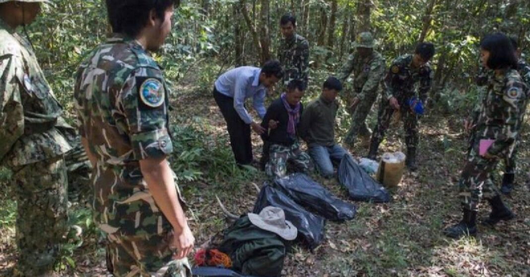 Five Hunters In Thailand Jailed For Killing Tiger and Cub