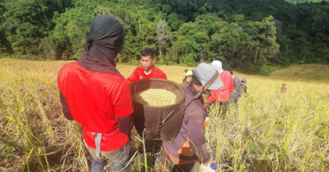 Food insecurity Affecting Over 1 Million People In Laos