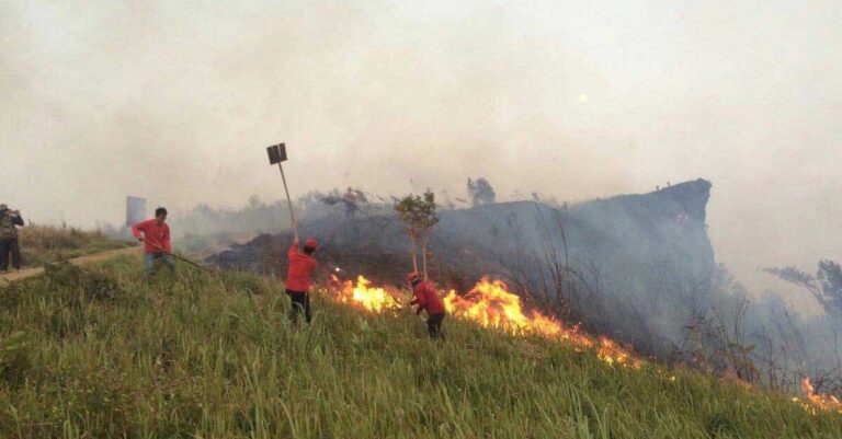 Thailand Closes National Park as Fire Spreads From Laos