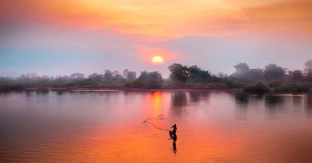 Fishing for sunrays - Simon Berger via Unsplash.