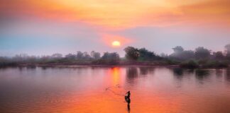 Fishing for sunrays - Simon Berger via Unsplash.