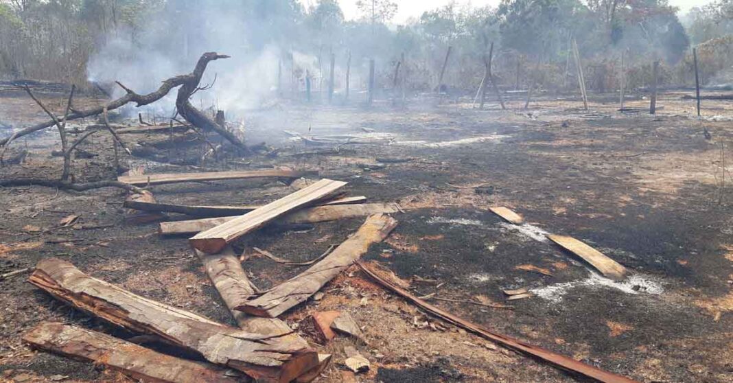 Logging, burning rife in Phou Khao Khouay National Park