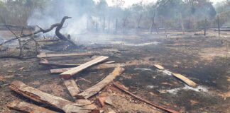 Logging, burning rife in Phou Khao Khouay National Park