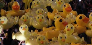 Inflatable yellow ducks, which have become good-humored symbols of resistance during anti-government rallies, are lifted over a crowd of protesters in Bangkok, Thailand, Nov. 27, 2020. (AP Photo/Sakchai Lalit, File)