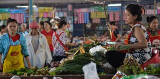 Lao Economy to Increase by 4 percent, says IMF