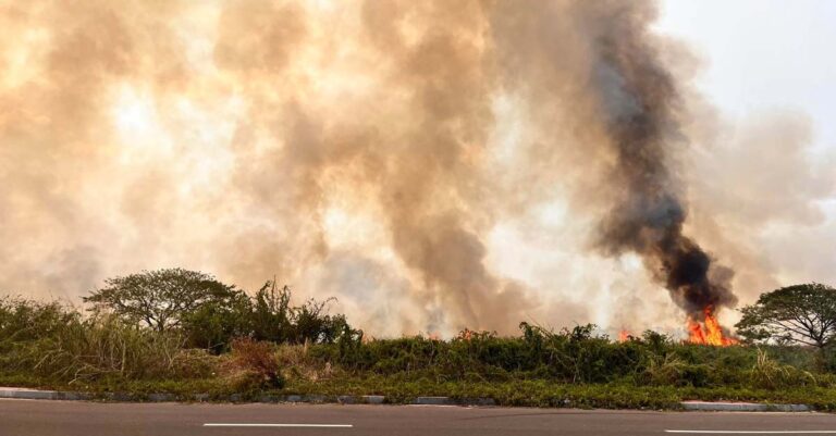 Huge Fire Breaks Out at That Luang Marsh in Vientiane