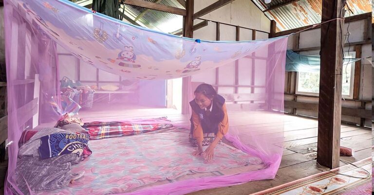 Laos Sees Remarkable Decline in Malaria Infections in 25 Years
