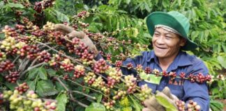 Laos Exports 3 Million Tons of Agricultural Products in First Quarter