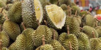 Vietnamese Durian Vendors Arrested in Thailand for Tampering With Scales