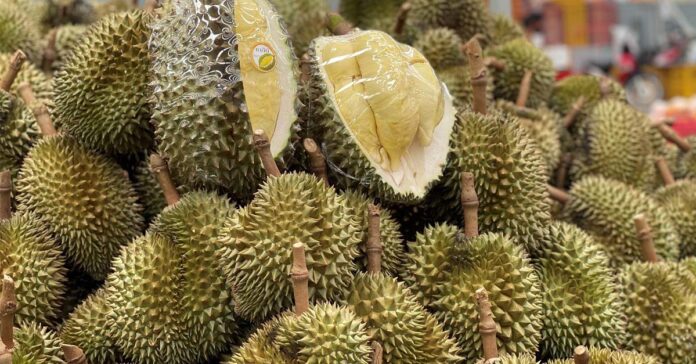 Vietnamese Durian Vendors Arrested in Thailand for Tampering With Scales
