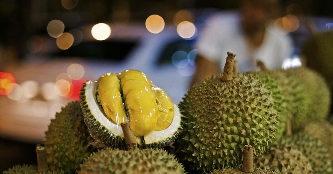 Malaysian Government Demands Formal Trade Routes to Protect Musang King Durian From Thai Sellers