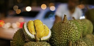 Malaysian Government Demands Formal Trade Routes to Protect Musang King Durian From Thai Sellers