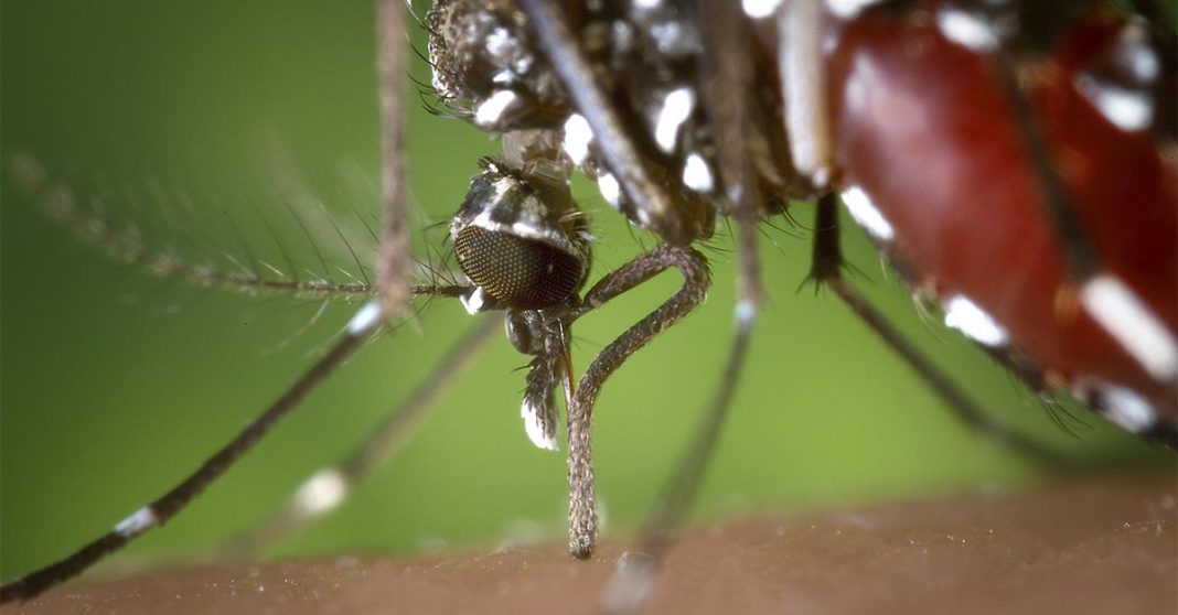 Ministry of Health Launches Campaign to Combat Dengue Fever in Laos