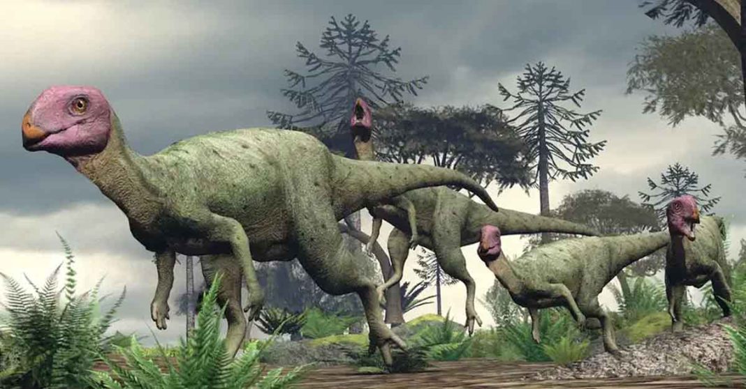 New dinosaur species, Minimocursor phunoiensis, found in Southeast Asia (YouTube: Mr. DinoDigger)