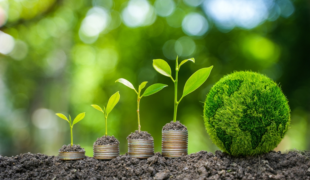 Sustainable investing is becoming increasingly popular.