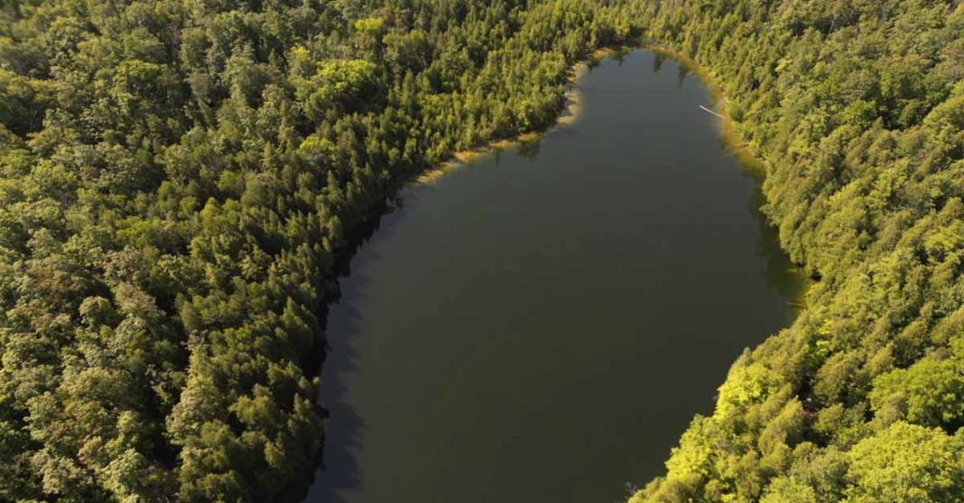 Trees surround Crawford Lake in Milton, Ontario as on 10 July 2023 a team of scientists is recommending the start of a new geological epoch defined by how humans have impacted the Earth (Cole Burston/AP)