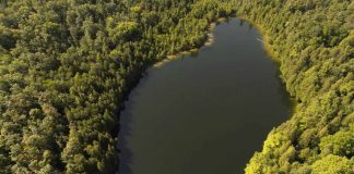 Trees surround Crawford Lake in Milton, Ontario as on 10 July 2023 a team of scientists is recommending the start of a new geological epoch defined by how humans have impacted the Earth (Cole Burston/AP)