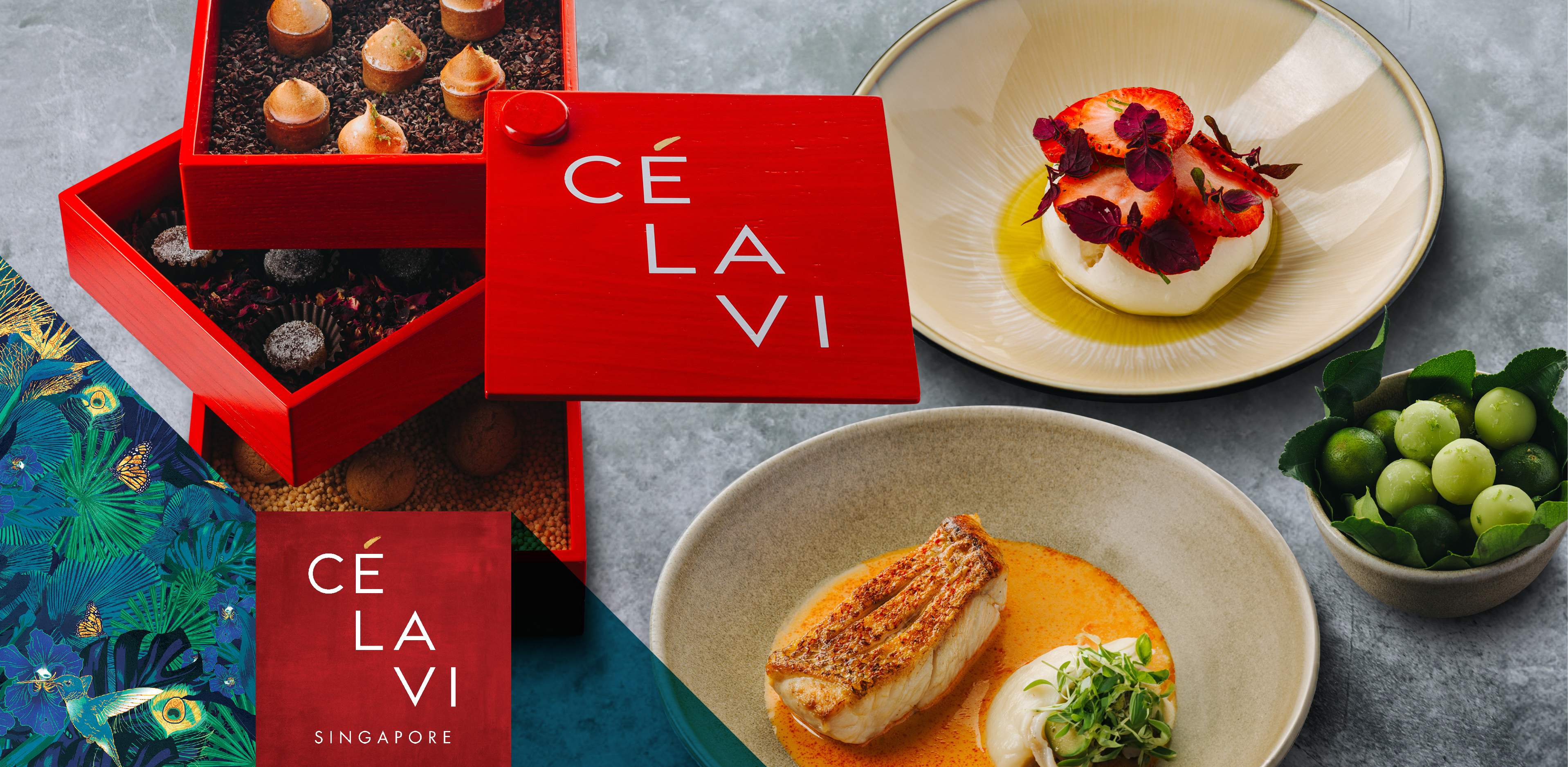 CELAVI New Dinner Menu